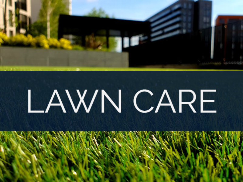 RANK IN THE CITY - CHARLOTTE NC | INTERNET MARKETING SERVICE | GROW YOUR BUSINESS | Lawn Care - Industry
